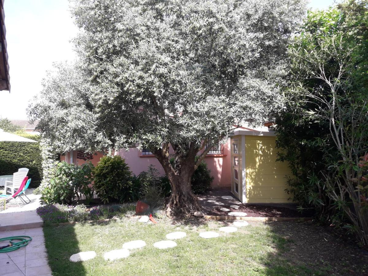 Les Cypres Florentins Colomiers Εξωτερικό φωτογραφία